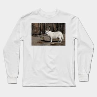 Arctic Wolf Long Sleeve T-Shirt